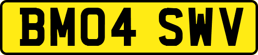 BM04SWV