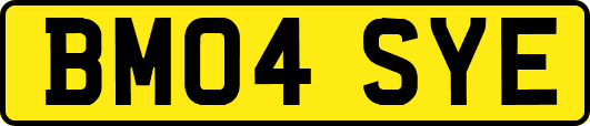 BM04SYE
