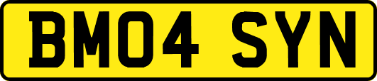 BM04SYN