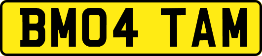 BM04TAM