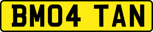 BM04TAN