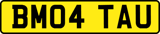 BM04TAU