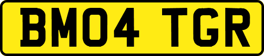BM04TGR