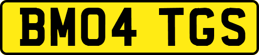 BM04TGS