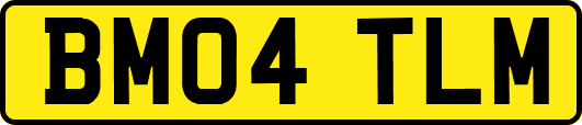 BM04TLM