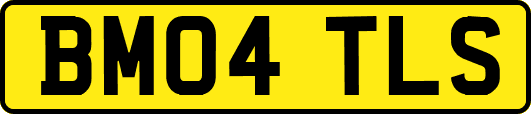 BM04TLS