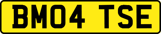 BM04TSE