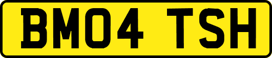 BM04TSH