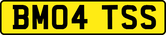 BM04TSS