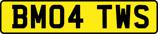 BM04TWS