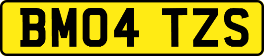 BM04TZS