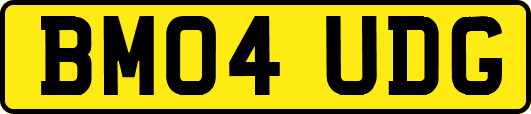 BM04UDG