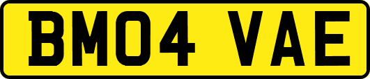 BM04VAE