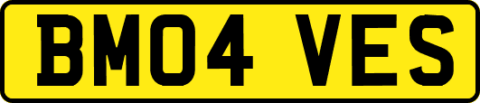 BM04VES