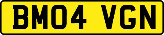BM04VGN