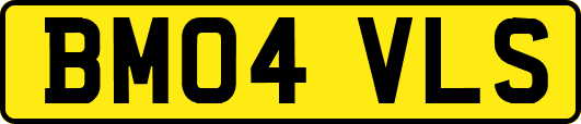 BM04VLS