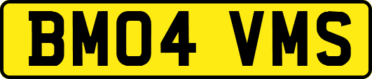 BM04VMS
