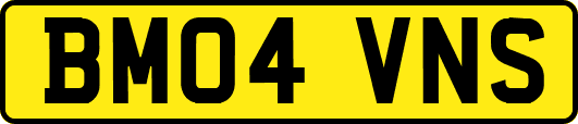 BM04VNS