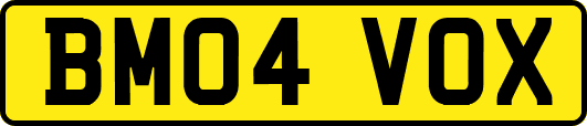 BM04VOX
