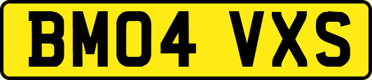 BM04VXS