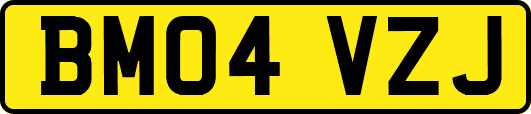 BM04VZJ