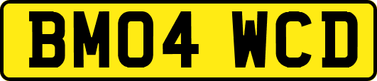 BM04WCD