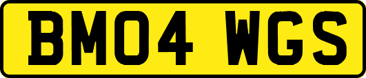 BM04WGS