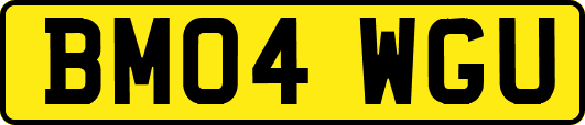 BM04WGU