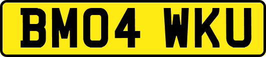 BM04WKU