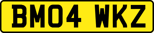 BM04WKZ