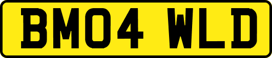 BM04WLD