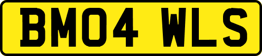 BM04WLS