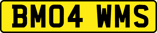 BM04WMS