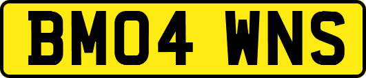 BM04WNS