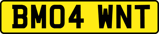 BM04WNT