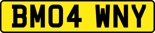 BM04WNY