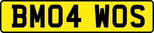 BM04WOS