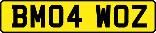 BM04WOZ