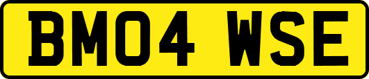 BM04WSE