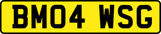 BM04WSG