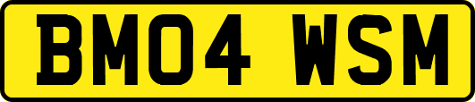 BM04WSM