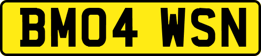 BM04WSN