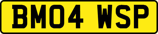 BM04WSP