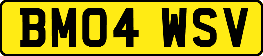 BM04WSV