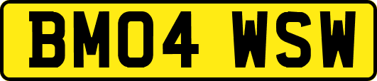 BM04WSW