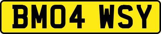 BM04WSY