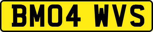BM04WVS