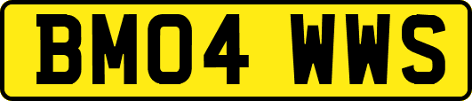 BM04WWS