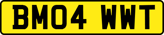 BM04WWT