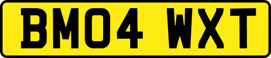 BM04WXT